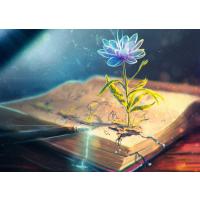 Kitap ve Çiçek 500 Parça Ahşap Puzzle Yapboz